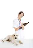 Veterinay+taking+care+of+a+dog