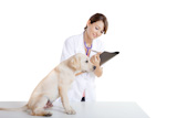 Veterinay+taking+care+of+a+dog