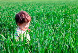 baby+walking+in+high+green+grass+field