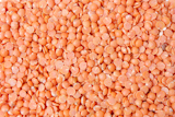 Closeup+of+orange+lentils