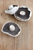A+big+flat+mushroom+on+a+wooden+surface