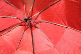 red+umbrella