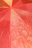 red+umbrella