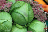 cabbage+on+rural+market