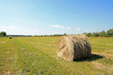 hay+in+stack