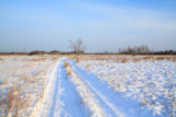 rural+road+through+winter+field