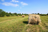 hay+on+field