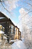 rural+house+amongst+snow+tree