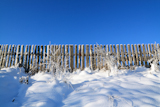 old+fence+on+snow+hill