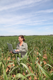 Agronomist+in+corn+field