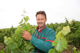 Winegrower+standing+in+vineyard