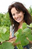Portrait+of+smiling+winegrower+in+vineyard