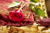 classic+red+rose+on+embroidery+vintage+velvet+pillow+golden+border