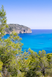 Andratx+Camp+de+Mar+in+Mallorca+Balearic+Islands+pines+and+mountains+bay
