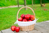 basket+of+red+apples+on+wood+floor+with+green+field+background