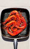 Aristaemorpha+foliacea+shrimp+Aristaeopsis+edwardsiana+on+grill