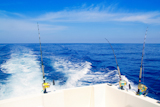 boat+fishing+trolling+in+deep+blue+sea+with+rods+and+reels