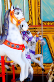 horses+in+merry+go+round+fairground+attraction