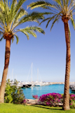 Calvia+Puerto+Portals+Nous+view+from+bougainvilleas+garden+in+Mallorca+Balearic+Island