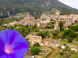 Valldemossa+from+Majorca+view+from+purple+Ipomea+flowers+foreground