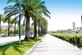 beach+boulevard+in+Salou+with+palm+trees+in+Tarragona+Spain