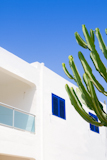 White+mediterranean+house+and+cactus+in+Formentera+Balearic+island