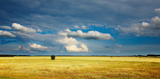 Landscape+with+grassland+and+cloudy+sky+