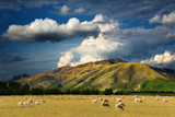 Mountain+landscape+with+grazing+sheep+and+cloudy+sky+