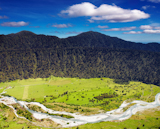 Mountain+landscape+with+river+and+forest%2C+New+Zealand+