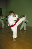 Young+children+practicing+judo+in+a+class