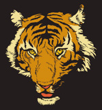 vector+t-shirt+design+with+raging+tiger