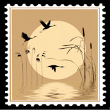 vector+silhouette+flying+birds+on+postage+stamps
