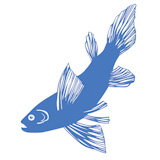 vector+silhouette+of+fish+on+white+background