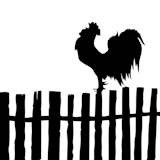 vector+silhouette+of+the+cock+on+old+fence
