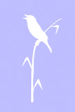 vector+drawing+of+the+bird+sitting+on+reed