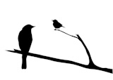 vector+silhouette+of+the+bird+on+branch