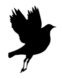 vector+silhouette+flying+birds+on+white+background