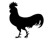 vector+silhouette+cock+on+white+background