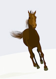 beautifull+race-horse