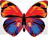 Vector+illustration+-+Beautiful+Brightly+multicolored+Butterfly