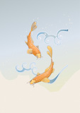 Vector+illustration+of+two+koi+carps+splashing+in+water+and+swiming+around+in+a+cool+pond.