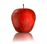 Vector+illustration+of+detailed+big+shiny+red+apple