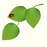 Vector+illustration+of++funky+ladybug+sitting+on+the+green+leaves