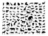 Animals+silhouettes