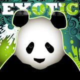 Designed+exotic+banner+wtih+panda