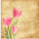 Romantic+Flower+Background