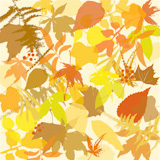 Autumn+leaves+background