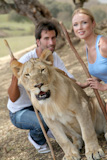 Couple sitting by lion in Savannah