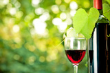 Red wine bottle, one glass and young vine against natural spring background