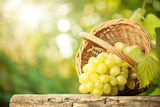 Bunch of grapes and vine leaf in basket on wooden table against green spring background